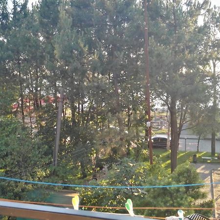 Apartment Agmashenebeli 99 Kobuleti Exteriér fotografie